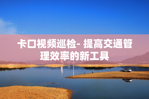 卡口視頻巡檢- 提高交通管理效率的新工具