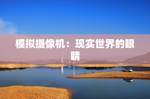 模擬攝像機：現實世界的眼睛