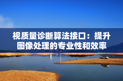視質量診斷算法接口：提升圖像處理的專業性和效率