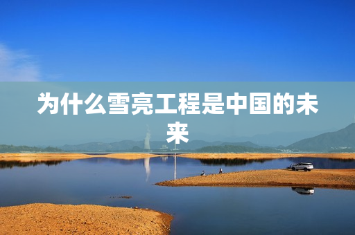 為什么雪亮工程是中國的未來