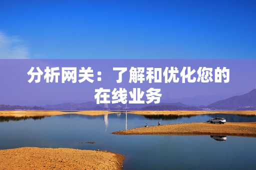 分析網關：了解和優化您的在線業務