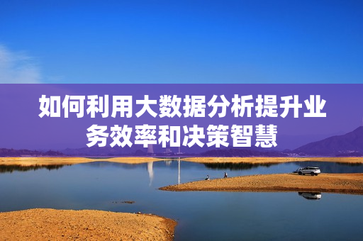 如何利用大數據分析提升業務效率和決策智慧