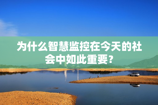 為什么智慧監(jiān)控在今天的社會中如此重要？