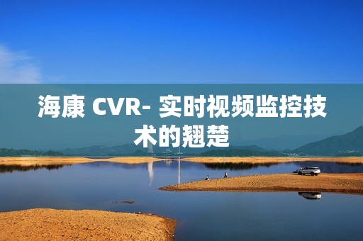 海康 CVR- 實時視頻監(jiān)控技術的翹楚