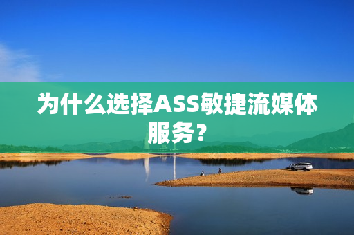 為什么選擇ASS敏捷流媒體服務？