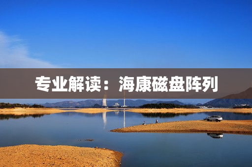 專業解讀：海康磁盤陣列