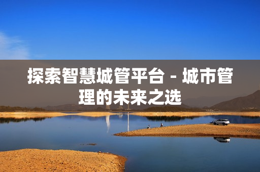 探索智慧城管平臺(tái) - 城市管理的未來之選