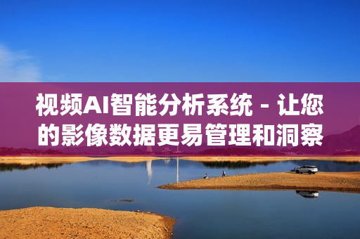 視頻AI智能分析系統 - 讓您的影像數據更易管理和洞察