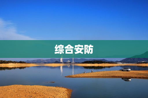 綜合安防