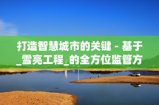 打造智慧城市的關(guān)鍵 - 基于_雪亮工程_的全方位監(jiān)管方案