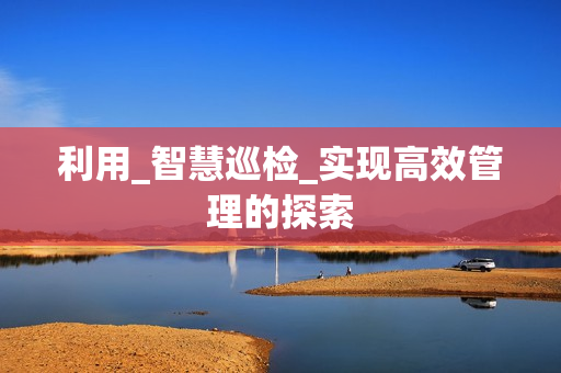 利用_智慧巡檢_實現高效管理的探索