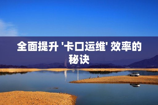 全面提升 '卡口運維' 效率的秘訣