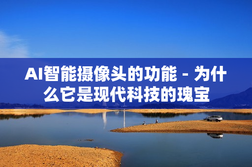 AI智能攝像頭的功能 - 為什么它是現(xiàn)代科技的瑰寶