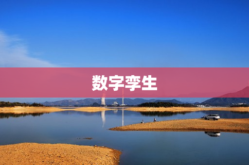 數字孿生