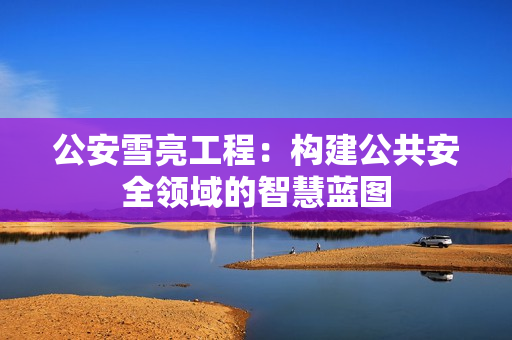 公安雪亮工程：構建公共安全領域的智慧藍圖