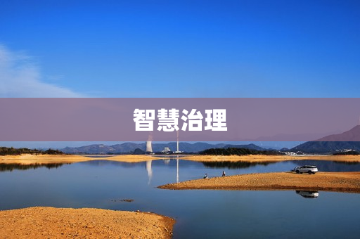 智慧治理