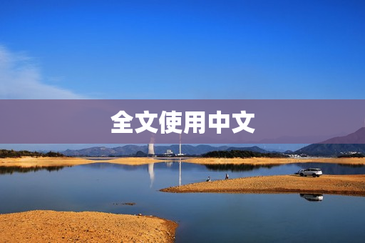 全文使用中文