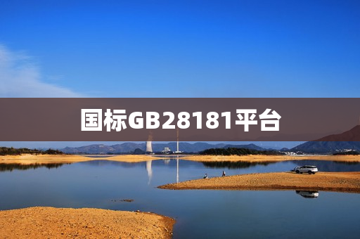 國(guó)標(biāo)GB28181平臺(tái)