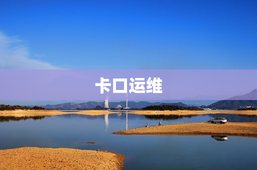 卡口運維