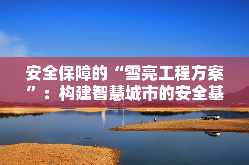 安全保障的“雪亮工程方案”：構建智慧城市的安全基石