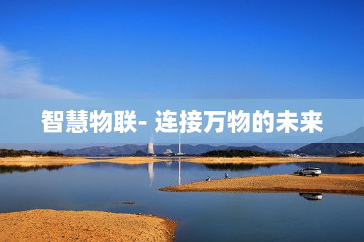 智慧物聯- 連接萬物的未來