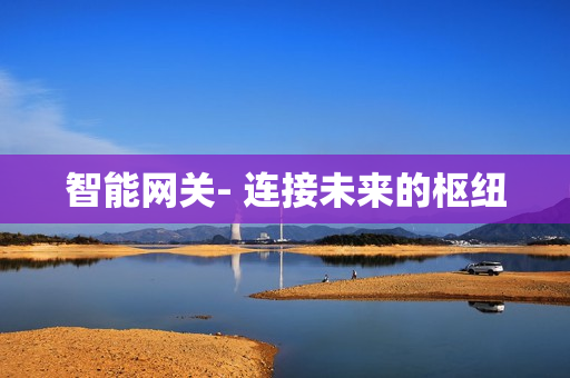 智能網(wǎng)關(guān)- 連接未來(lái)的樞紐