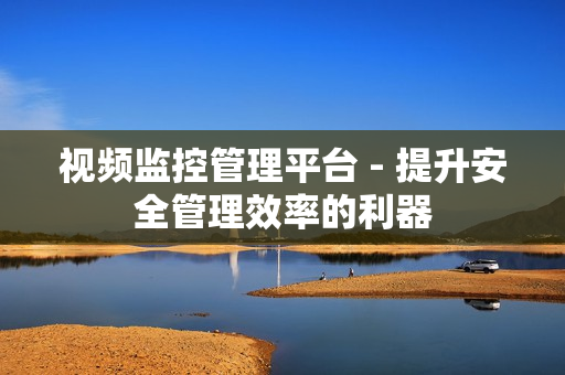 視頻監控管理平臺 - 提升安全管理效率的利器