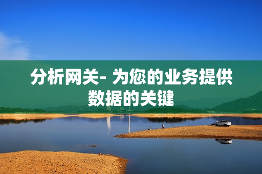 分析網關- 為您的業務提供數據的關鍵