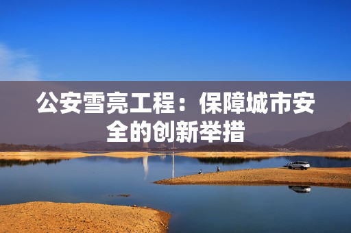 公安雪亮工程：保障城市安全的創(chuàng)新舉措