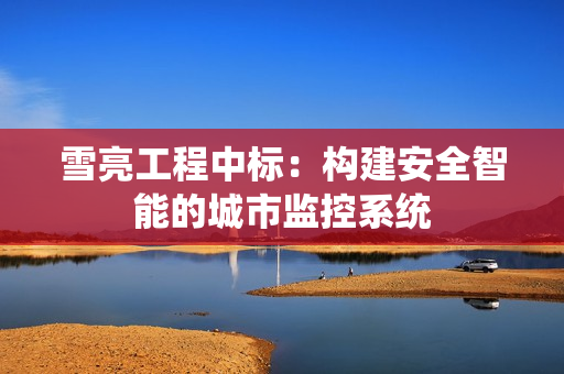 雪亮工程中標：構建安全智能的城市監控系統